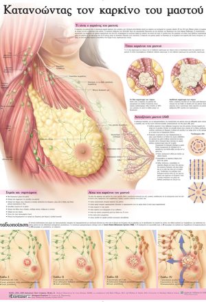 Ανατομικός χάρτης: κατανοώντας τον καρκίνο του μαστού.