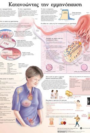 Ανατομικός χάρτης: κατανοώντας την εμμηνόπαυση