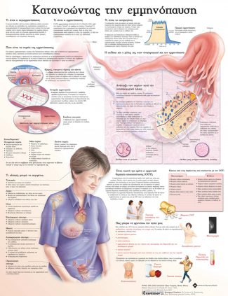 Ανατομικός χάρτης: κατανοώντας την εμμηνόπαυση