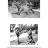 Η ιστορία του taekwondo στην Ελλάδα